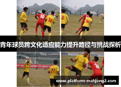 青年球员跨文化适应能力提升路径与挑战探析