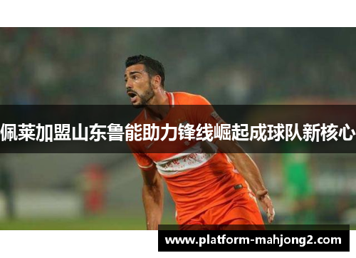 佩莱加盟山东鲁能助力锋线崛起成球队新核心 佩莱加盟山东鲁能助力锋线崛起成球队新核心