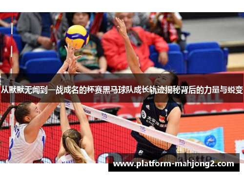 从默默无闻到一战成名的杯赛黑马球队成长轨迹揭秘背后的力量与蜕变